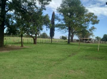 Campo · 750000m² · 4 Ambientes · Venta Excelente Campo de 75 Hectáreas en Ubicación Privilegiada en Chenaut