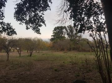 Terreno , La Granja · Excelente. Lote