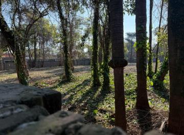 Terreno · 600m² · Ultimos Terrenos Llenos de Árboles