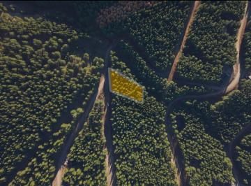 MLP-MLP-507_2 · Lote en Venta en San Martín de Los Andes, Barrio El Remanso