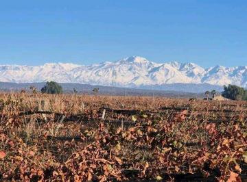 Campo · 900000m² · Venta de Finca 90 Has en Lujan de Cuyo