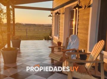 Foto1 · Venta de Chacra en Plantación Nardona