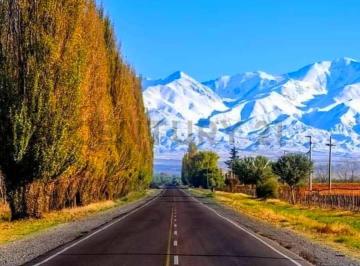 Terreno · Century 21 López Vende Amplio Terreno en Zona Céntrica y Estratégica de Tupungato Mendoza