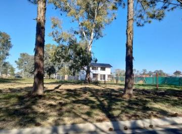 Terreno · 375m² · Adg. Venta de Lote en Nueva Zelaya 1