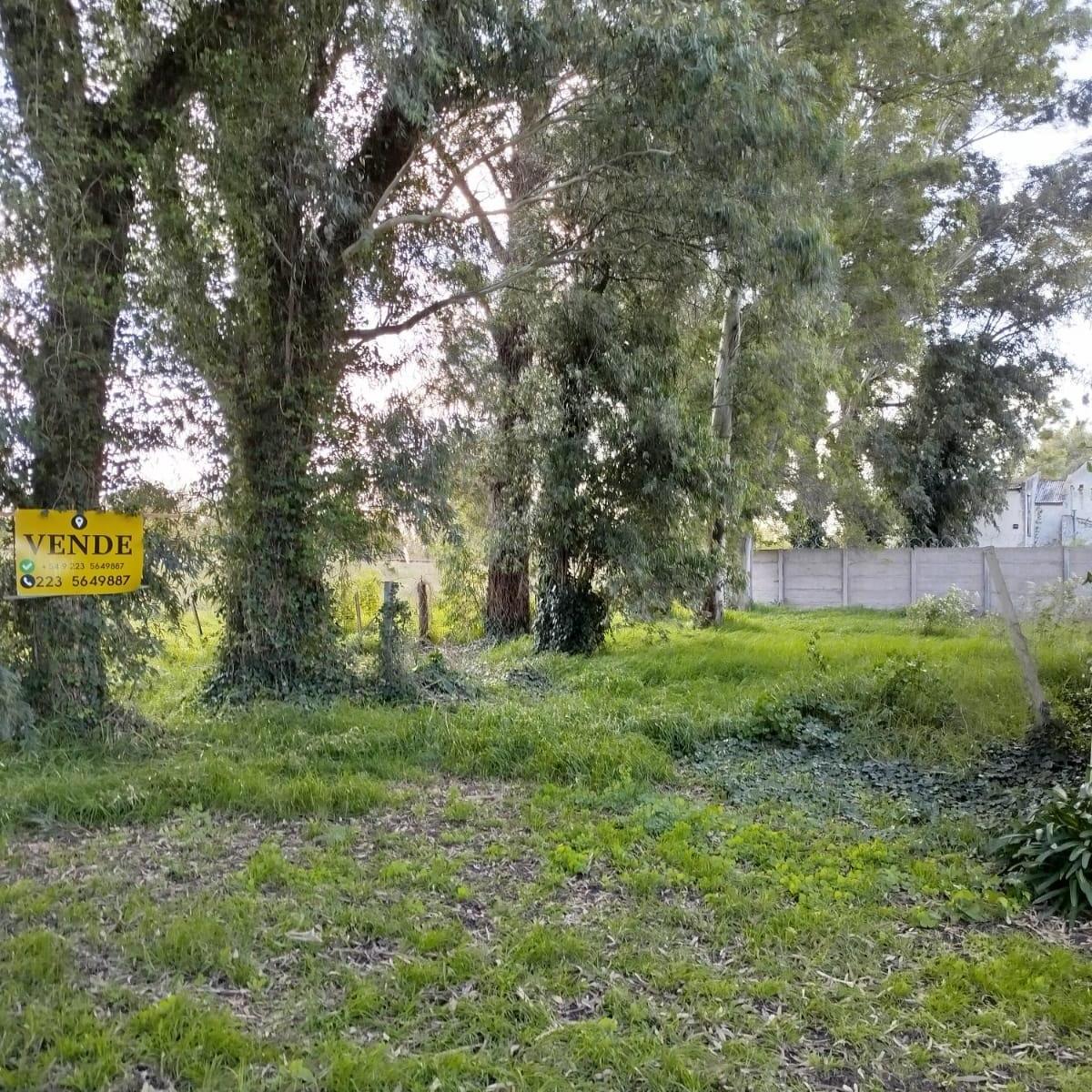 Lote 264m² en Las Margaritas con vista abierta y entorno natural