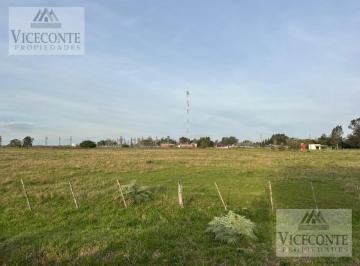 Terreno , Chascomús · Lote de Terreno,10.000 m² (Mza.109d) Cacique Pincen y Cnel Baigorria, Chascomús