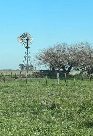 Campo · 60ha