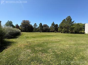 Terreno · 1650m² · Terreno Casuarinas del Pilar