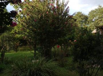 Campo de 4 ambientes, Chivilcoy · Venta de Campo Indacochea - Chivilcoy - Buenos Aires