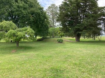 Campo de 8 ambientes, Uruguay · Excelente Campo Agrícola Ganadero, Mejor Zona de Young, Río Negro, Uruguay