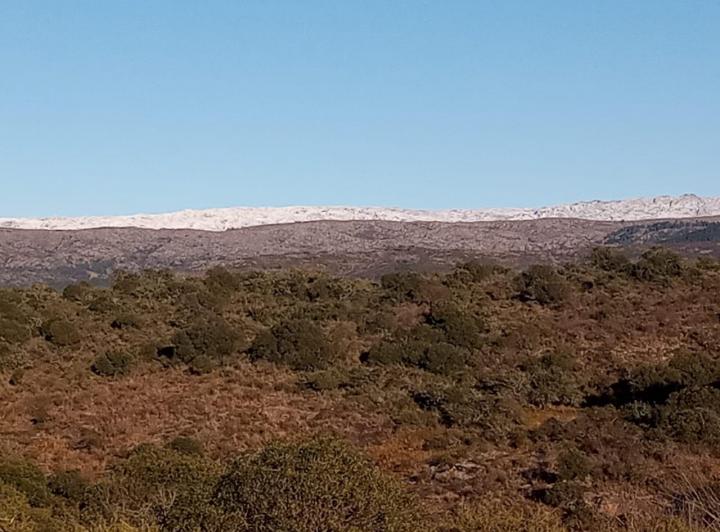 Terreno · 22600m²
