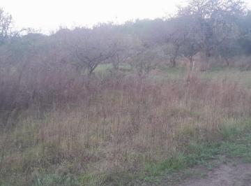 Terreno , La Granja · Excelente. Lote