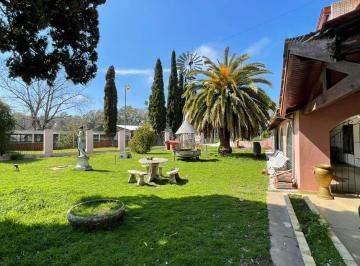 Campo · 240000m² · 12 Ambientes · Venta - Chacra en Baradero - 24 Ha