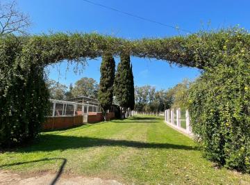 Hotel · 240000m² · 12 Ambientes · Venta - Chacra en Baradero - 24 Ha