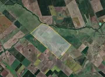 Campo · 3030000ha · Campo Ganadero en Cepeda – 303 Hectáreas.