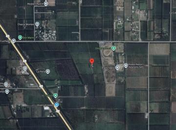Campo · 100m² · Chacra de 13 Hectáreas en Producción, Cipolletti