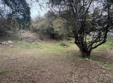 Terreno · 1129m² · ¡Venta! Lote en La Rufina ¡Con Pendiente positiva!¡Con Escritura!
