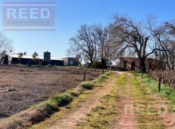 Campo · 30000m² · Chacra en Polvaredas, Saladillo