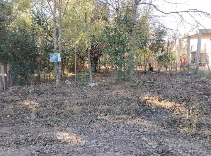 Terreno · 300m²