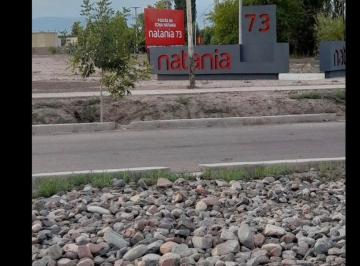 Casa · 300m² · Oportunidad Carpeta Natania Avanzado Listo Para Transferir