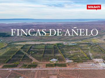 Terreno · 3528m² · Urbanización Única en Vaca Muerta