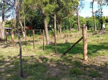 Terreno , Alberti · Venta de Terreno en Achupallas - Alberti