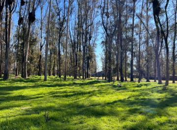 Terreno · 1027m² · Lote en Venta Campo Timbo