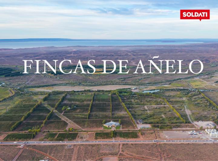 Desarrollo horizontal · Fincas de Añelo