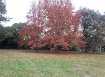Terreno , La Plata · Se Vende Lote - Terreno 20x30 en Av Arana Entre 14 y 15 Villa Elisa