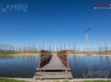 Terreno · 10m² · 7 Ambientes · 3 Cocheras · Venta Lote Chacras de La Alameda Carmen de Areco