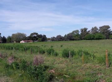 Terreno , La Plata · Se Venden Lotes - Terrenos en Av Arana Entre 150 y 152 | Villa Elisa