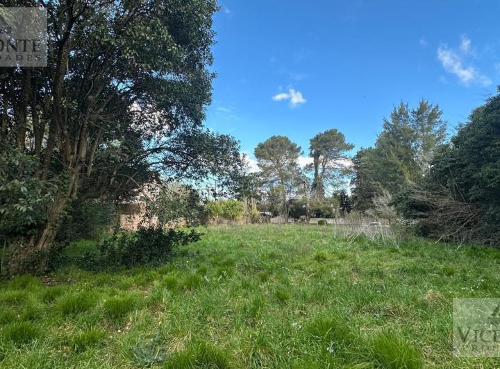 Terreno · 1555m²
