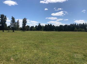 Terreno · 2714m² · Terreno - Estancia Las Malvinas