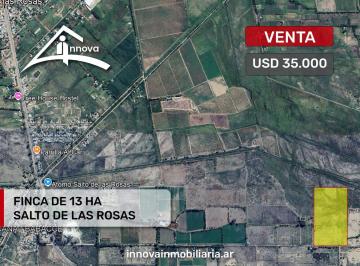 Campo · 130000m² · Vendo Finca San Rafael Mendoza