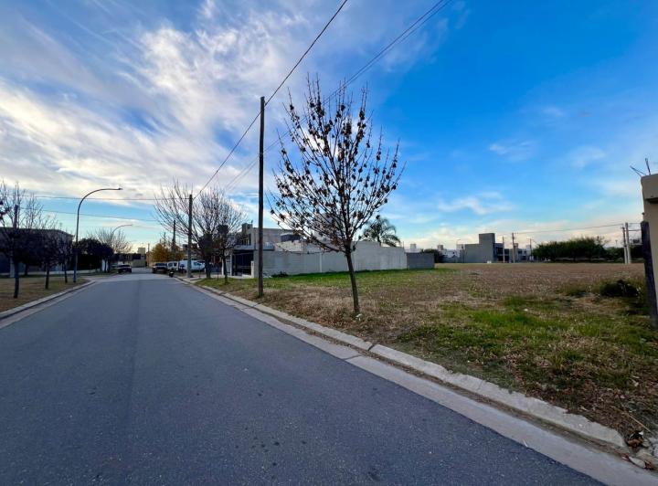 Terreno · 250m²