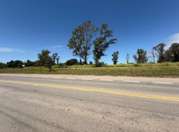 Terreno · 86032m² · Venta de Campo de 10 Ha en Cno. a Monte Cristo Al 4,5 Km