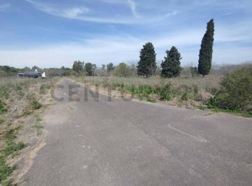 Terreno · 600m² · Venta Lote en Abasto - Estancia Chica