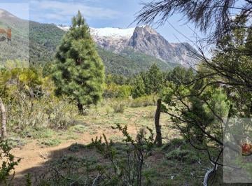 Terreno · 2147483647ha · Fracción en Colonia Suiza