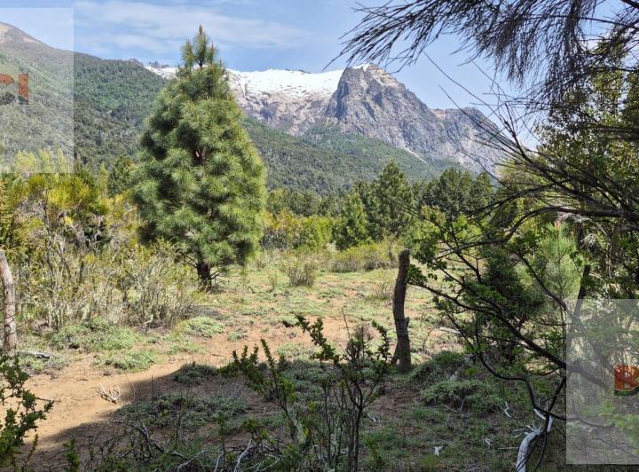 Terreno · 2147483647ha