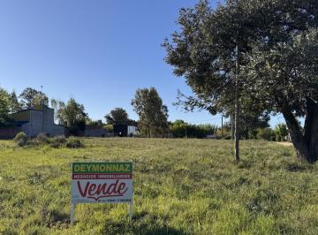 Terreno · 560m² · Terrenos en San José Barrio Perucho