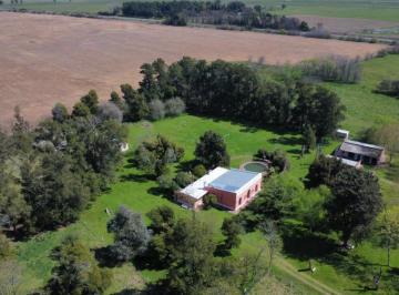 Campo de 8 ambientes, Alegre · Campo 11 Ha Alegre, Gral. Paz, Buenos Aires, Inmejorable Acceso