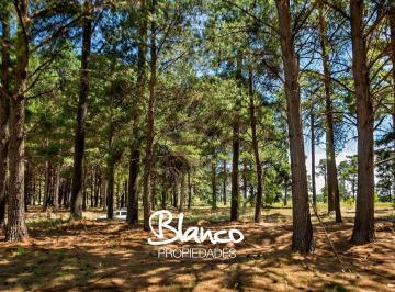 Terreno · 1666m² · Terreno Lote en Venta en Pinares Cc, Exaltación de La Cruz, G. B. a. Zona Norte