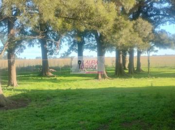 Campo · 100m² · 3 Ambientes · Venta Campo Ganadero 302 Ha Zona Labarden
