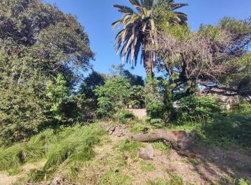 Terreno · 150m² · Lote 16 m Frente X 55 m de Fondo