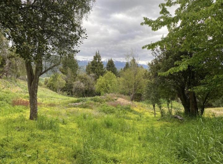 Terreno · 2049m²