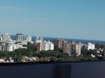 Departamento · 22m² · 1 Ambiente · Loft Urbano con Vista Abierta Al Rio y Terraza