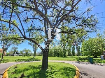 Terreno · 1013m² · Lote en Venta de 1013 m², en San Matias - Area 2.