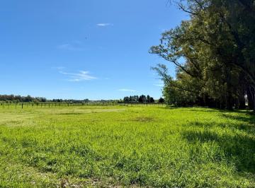 Terreno · 2249m² · Lote en Venta en Chacras de San Andres