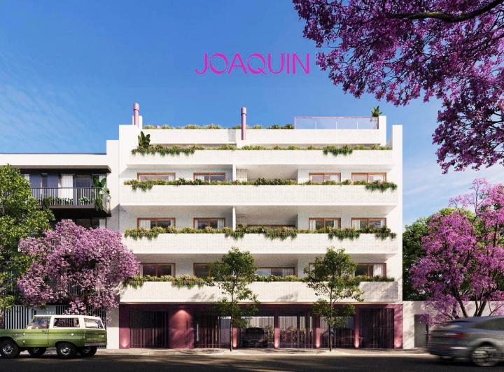 Desarrollo vertical · Joaquin
