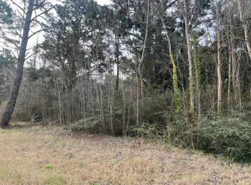 Terreno · 1407m² · Terreno en Venta Carilo, Providencia Entre Atalaya y Carpintero